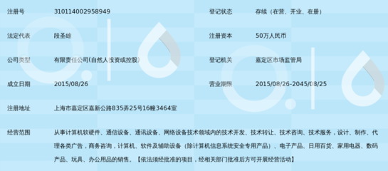 创澜网络科技(上海) 商务信息咨询领域的创新引领者